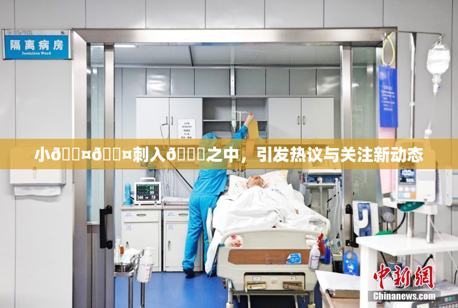 小🐤🐤刺入🍑之中，引发热议与关注新动态