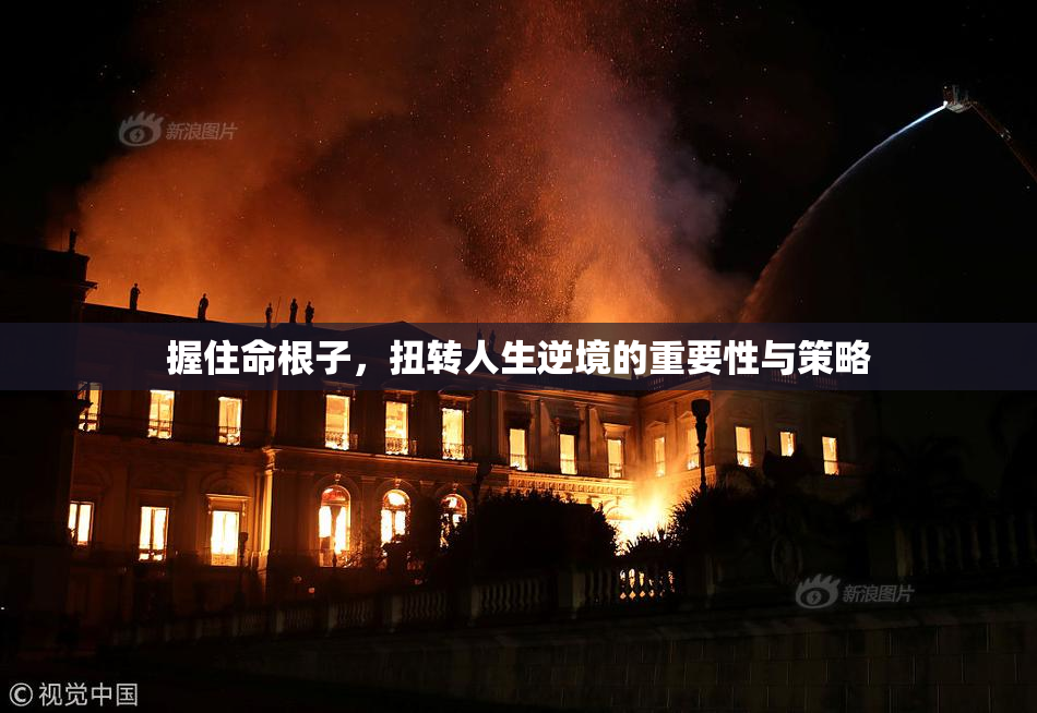握住命根子，扭转人生逆境的重要性与策略