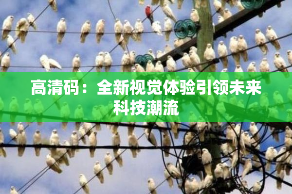 高清码：全新视觉体验引领未来科技潮流