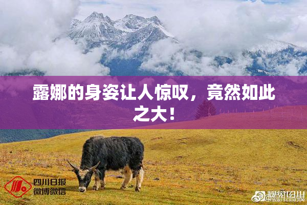 露娜的身姿让人惊叹，竟然如此之大！
