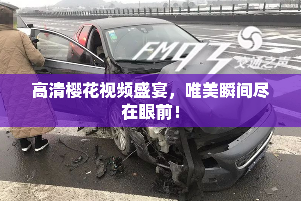 高清樱花视频盛宴，唯美瞬间尽在眼前！