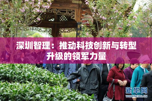深圳智理：推动科技创新与转型升级的领军力量