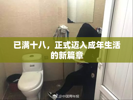 已满十八，正式迈入成年生活的新篇章