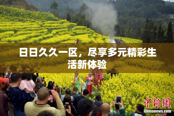 日日久久一区，尽享多元精彩生活新体验