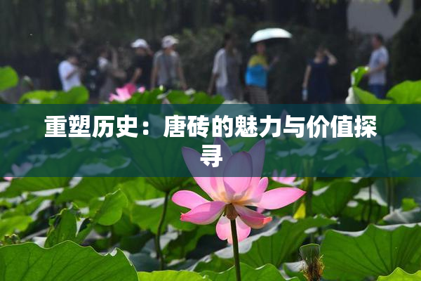 重塑历史：唐砖的魅力与价值探寻