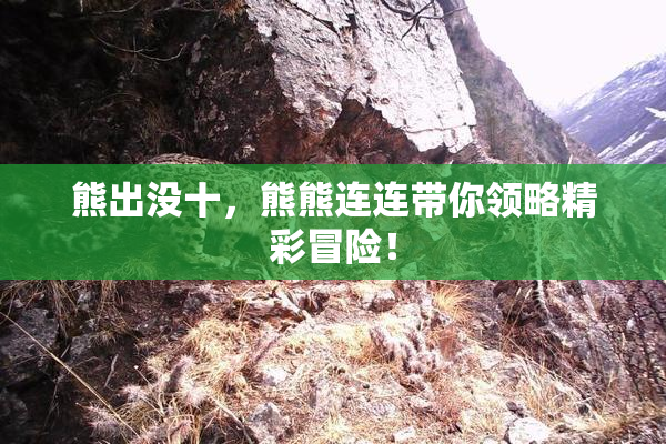 熊出没十，熊熊连连带你领略精彩冒险！
