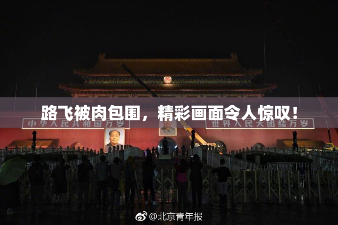 路飞被肉包围，精彩画面令人惊叹！