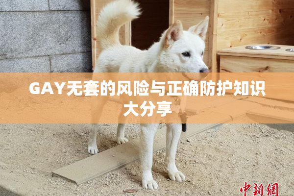 GAY无套的风险与正确防护知识大分享
