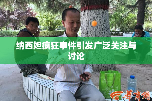 纳西妲疯狂事件引发广泛关注与讨论