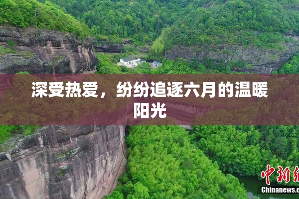 深受热爱，纷纷追逐六月的温暖阳光