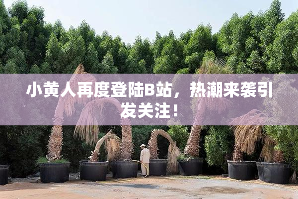 小黄人再度登陆B站，热潮来袭引发关注！