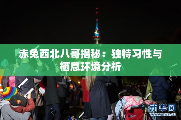 赤兔西北八哥揭秘：独特习性与栖息环境分析