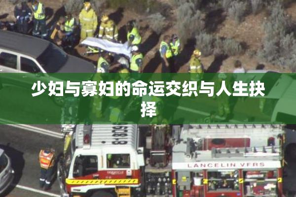 少妇与寡妇的命运交织与人生抉择