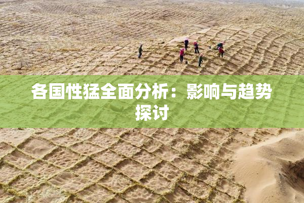 各国性猛全面分析：影响与趋势探讨