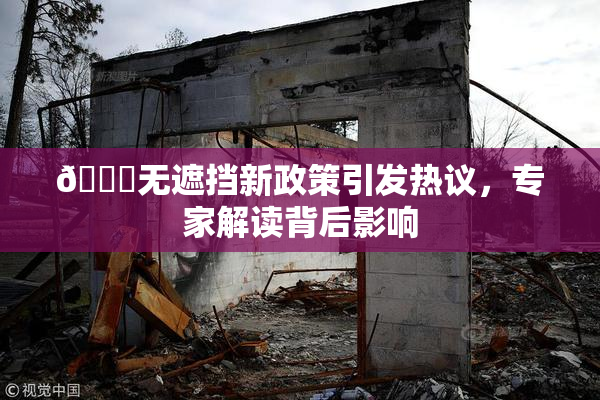 🔞无遮挡新政策引发热议，专家解读背后影响