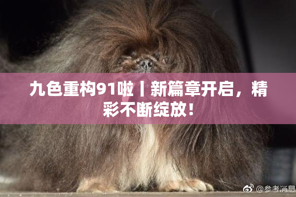 九色重构91啦丨新篇章开启，精彩不断绽放！