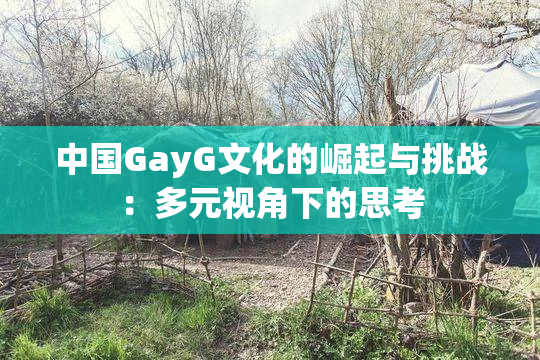 中国GayG文化的崛起与挑战：多元视角下的思考