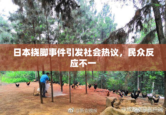日本挠脚事件引发社会热议，民众反应不一