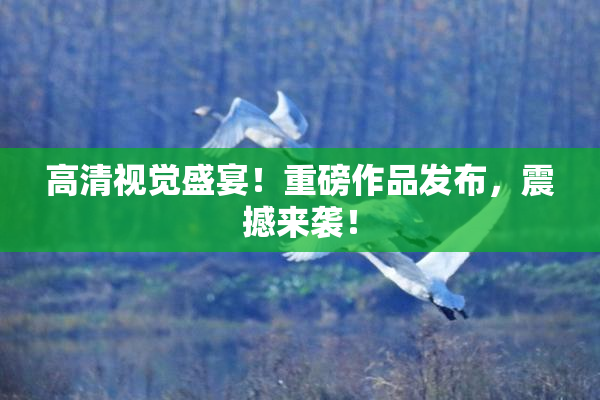 高清视觉盛宴！重磅作品发布，震撼来袭！