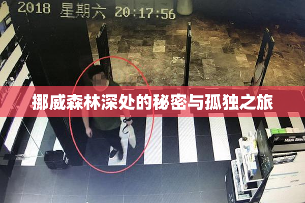 挪威森林深处的秘密与孤独之旅