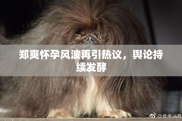 郑爽怀孕风波再引热议，舆论持续发酵
