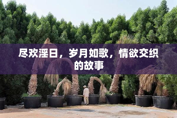 尽欢淫日，岁月如歌，情欲交织的故事