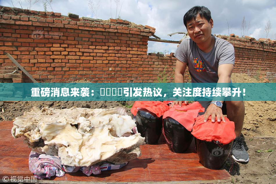 重磅消息来袭：馃悢馃悢引发热议，关注度持续攀升！