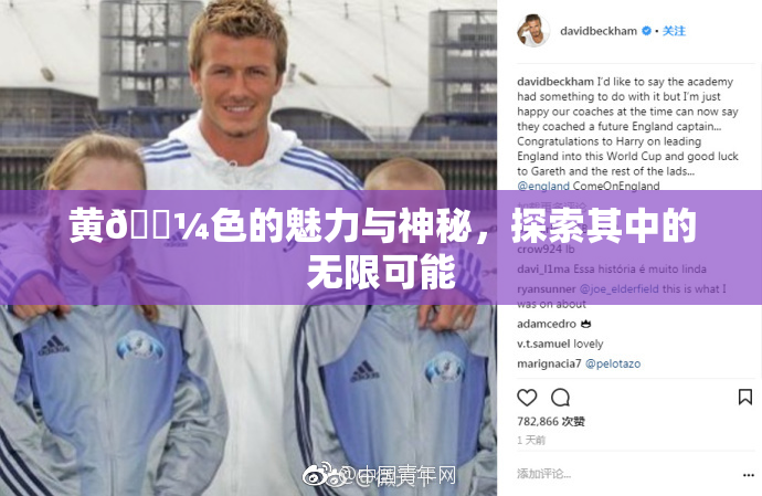 黄🌼色的魅力与神秘，探索其中的无限可能