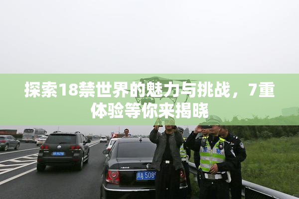 探索18禁世界的魅力与挑战，7重体验等你来揭晓