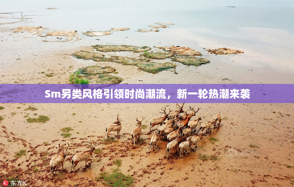Sm另类风格引领时尚潮流，新一轮热潮来袭