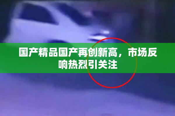 国产精品国产再创新高，市场反响热烈引关注