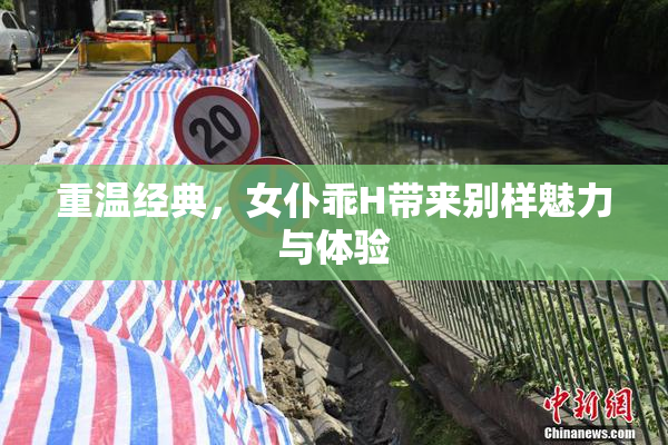 重温经典，女仆乖H带来别样魅力与体验