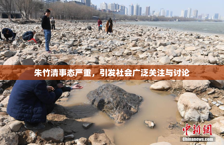 朱竹清事态严重，引发社会广泛关注与讨论