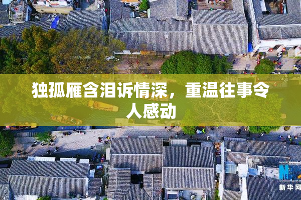 独孤雁含泪诉情深，重温往事令人感动