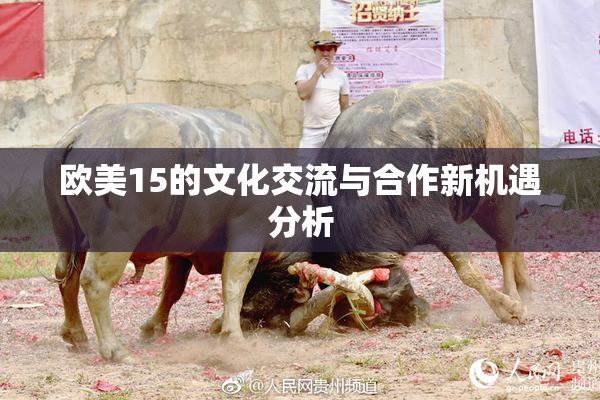 欧美15的文化交流与合作新机遇分析