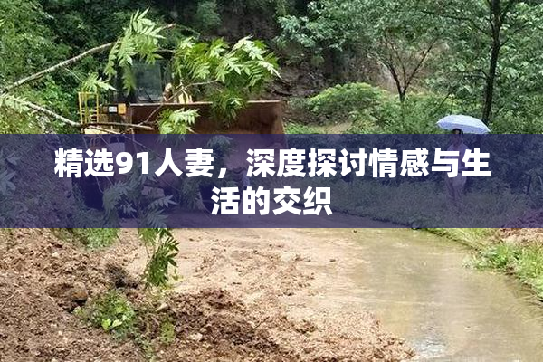 精选91人妻，深度探讨情感与生活的交织