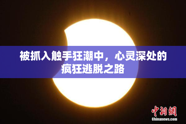 被抓入触手狂潮中，心灵深处的疯狂逃脱之路