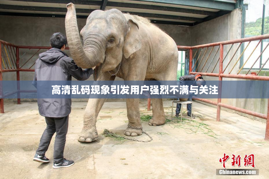 高清乱码现象引发用户强烈不满与关注