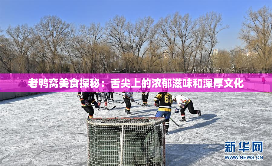 老鸭窝美食探秘：舌尖上的浓郁滋味和深厚文化