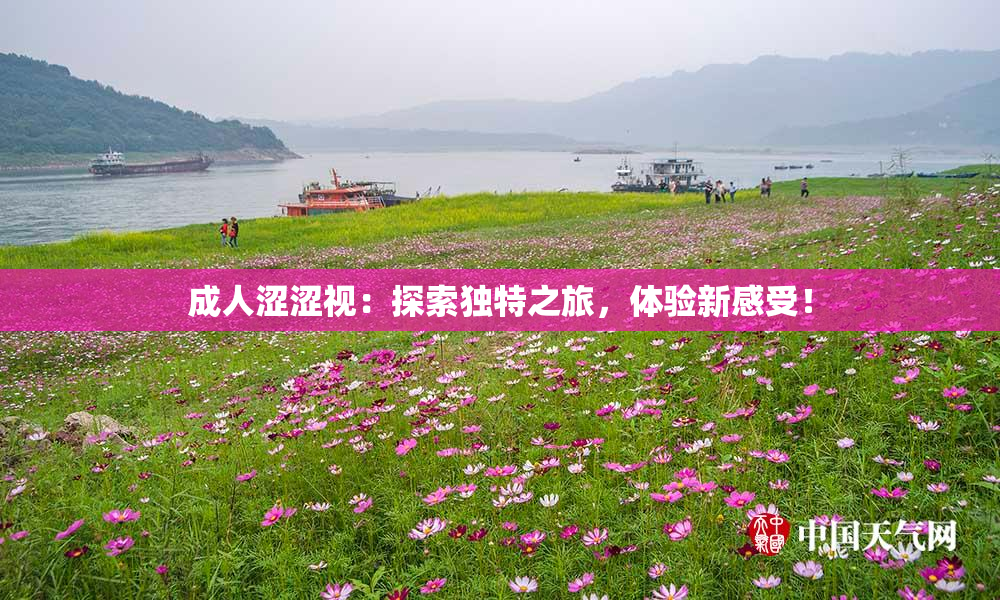 成人涩涩视：探索独特之旅，体验新感受！