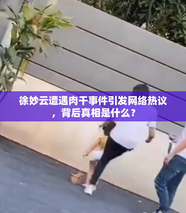 徐妙云遭遇肉干事件引发网络热议，背后真相是什么？