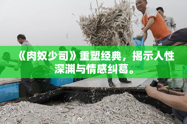 《肉奴少司》重塑经典，揭示人性深渊与情感纠葛。