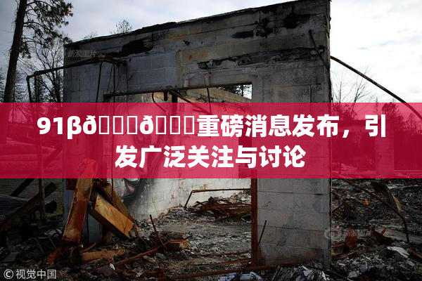 91β🍆🍆重磅消息发布，引发广泛关注与讨论