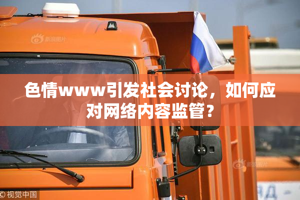 色情www引发社会讨论，如何应对网络内容监管？
