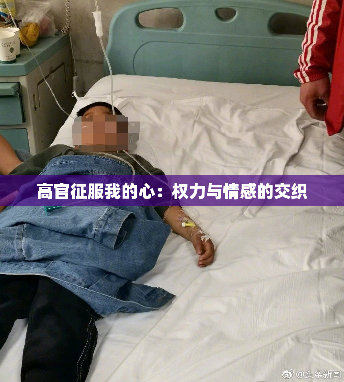 高官征服我的心：权力与情感的交织