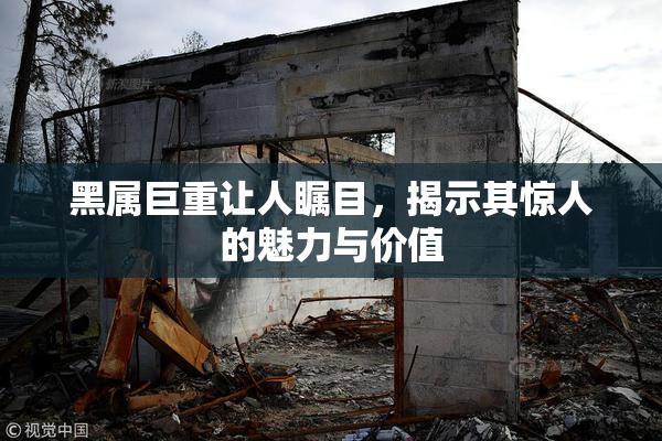 黑属巨重让人瞩目，揭示其惊人的魅力与价值