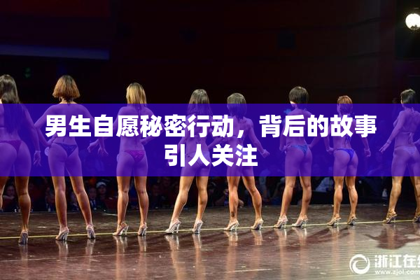 男生自愿秘密行动，背后的故事引人关注