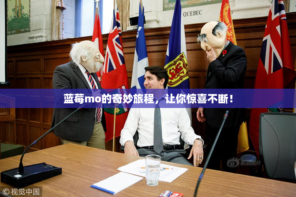 蓝莓mo的奇妙旅程，让你惊喜不断！