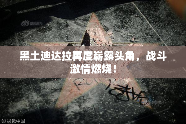 黑土迪达拉再度崭露头角，战斗激情燃烧！