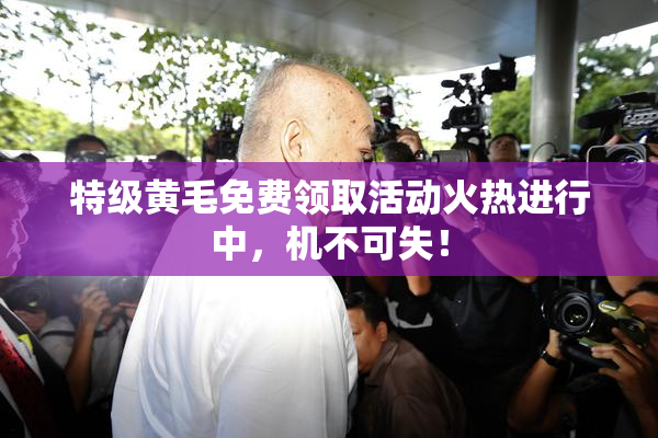 特级黄毛免费领取活动火热进行中，机不可失！